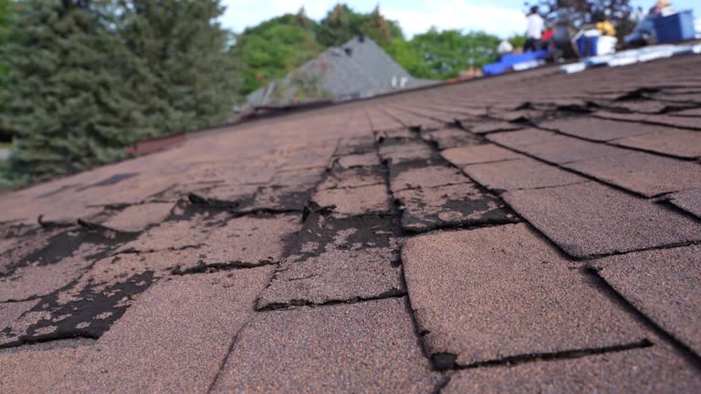 Fast & Reliable Emergency Roof Repairs in Mount Carmel, PA